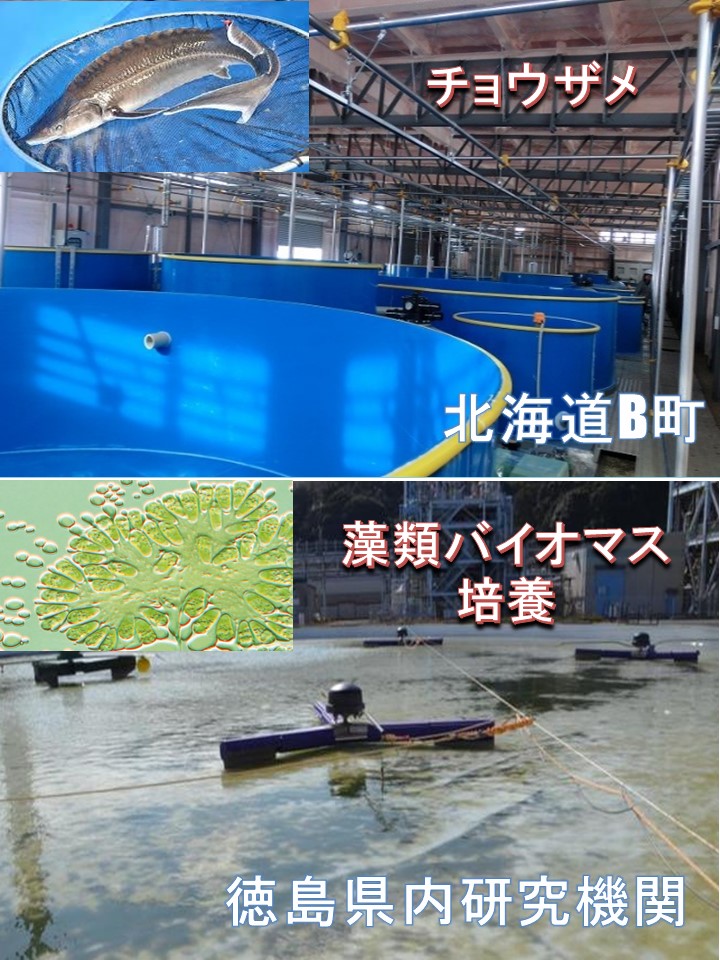 陸上養殖｜株式会社アクアテックジャパン